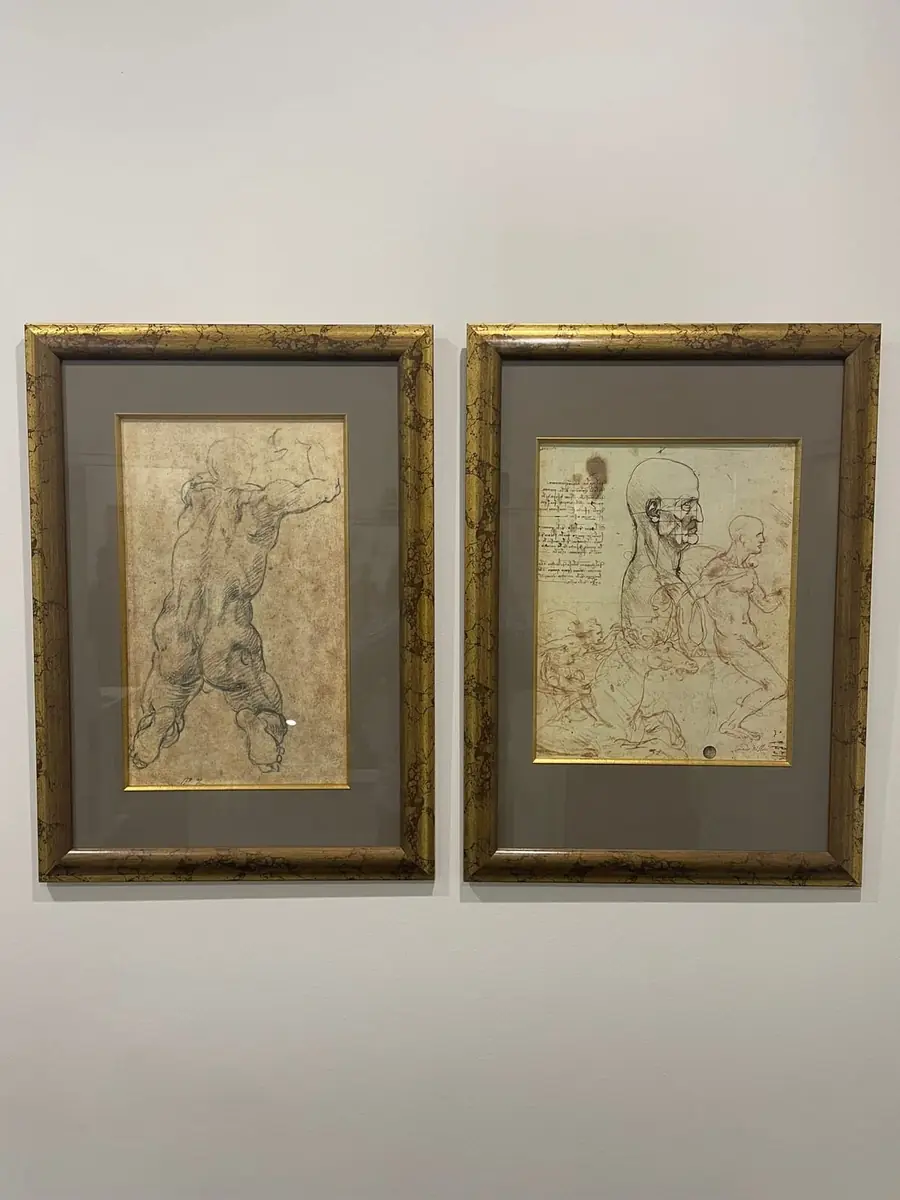 A pair of framed anatomical figure studies in the Renaissance master-drawing style, matted in charcoal grey with gilt frames