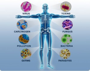 Environmental wellbeing factors illustration