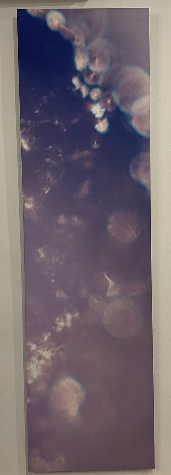 A tall Keys to Awaken Resonance Art work in indigo and violet, hung between the windows