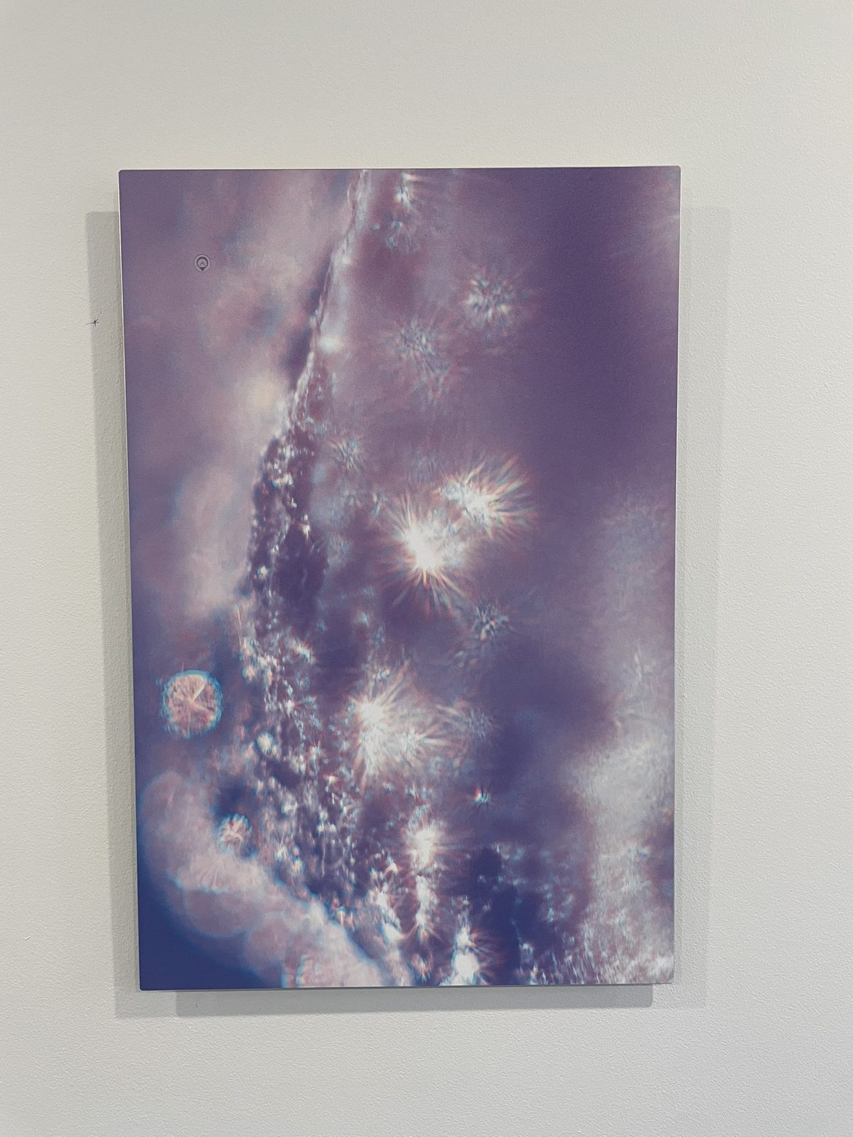 A Keys to Awaken Resonance Art work, a rising lavender seam scattered with starburst seed-heads