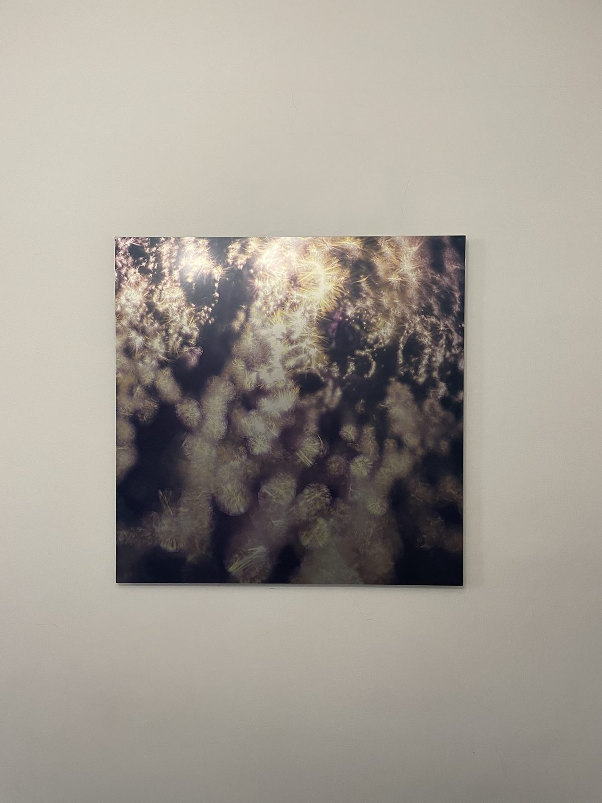 A square Keys to Awaken Resonance Art work, white blossom forms drifting on a deep background